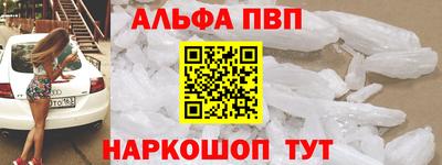 СК Новозыбков