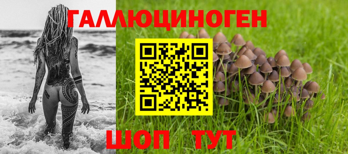 Псилоцибиновые грибы мицелий Сорочинск